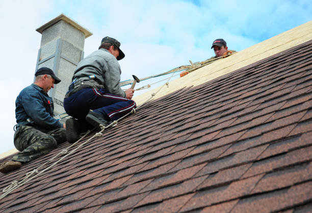 Best Roof Gutter Cleaning  in New Square, NY